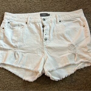 Torrid Women's White Frayed Jean Shorts